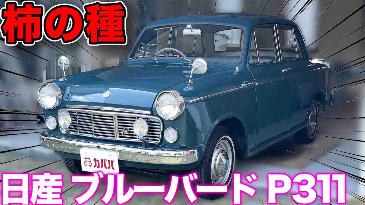 【日産ブルーバードP311】昭和の名車がカババに登場！