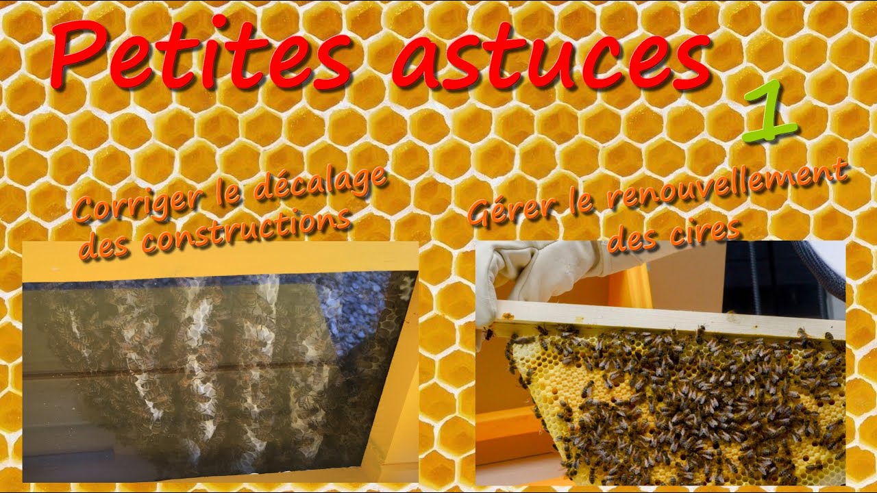 Petites astuces en "apiculture naturelle" ruche kényane (ruche TBH) et autres