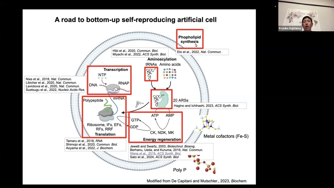 Build-a-Cell seminar Kosuke Fujishima: Expanding the reconstituted cell-free TX/TL system