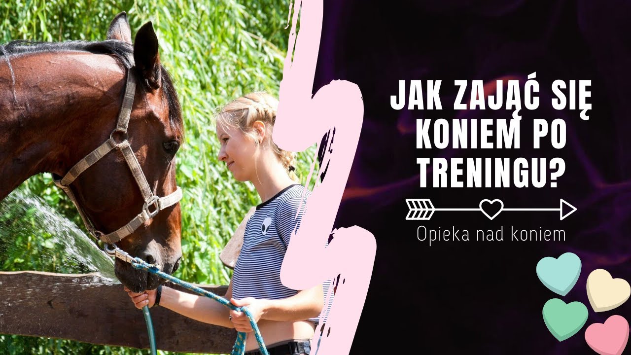 JAK ZAJĄĆ SIĘ KONIEM PO TRENINGU? | O tym nie możesz zapomnieć 👩🏼‍🎓