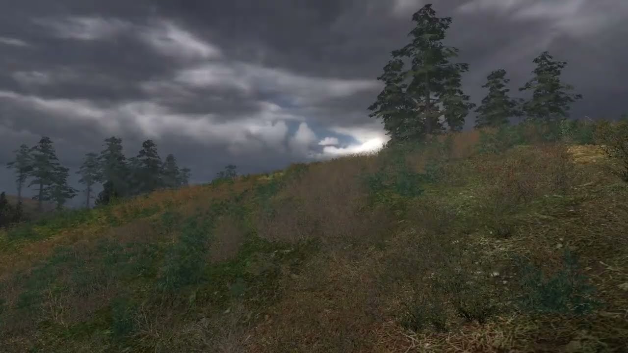 Whispering Pines - S.T.A.L.K.E.R Shadow Of Chernobyl Atmospheric Ambience