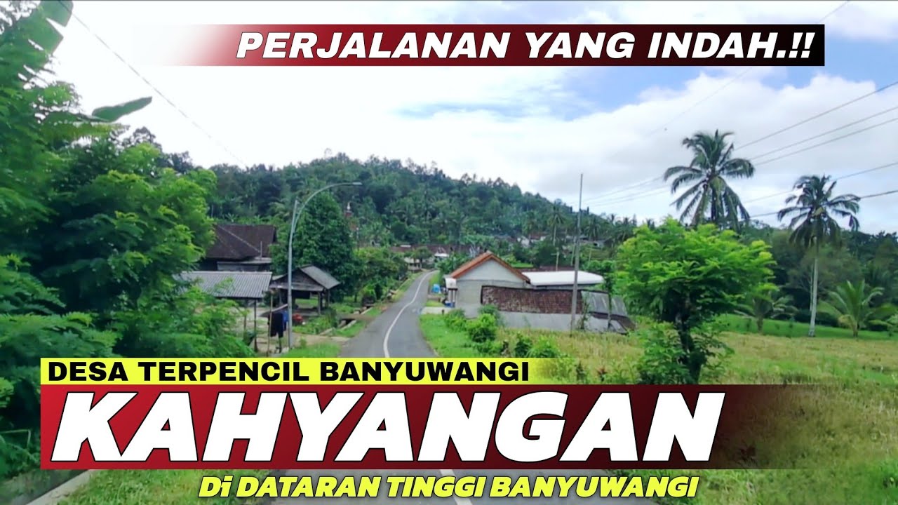Desa Tertinggi Banyuwangi! Menyusuri Indahnya Jalan Menuju Kampung Kahyangan di Dataran Tinggi Licin