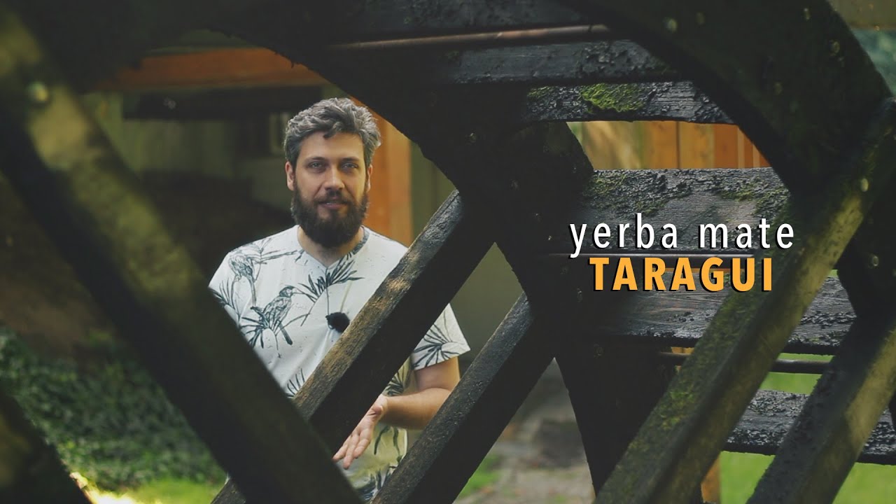 TARAGUI yerba mate | Czajnikowy.pl