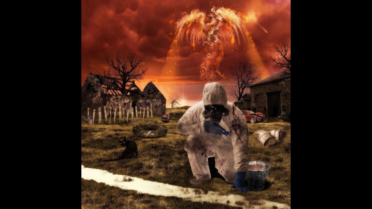 KIOZA - #PHOENIX (v&eacute;rit&eacute;s toxiques) #InstinctDeSurvie #RenaitreDeSesCendres