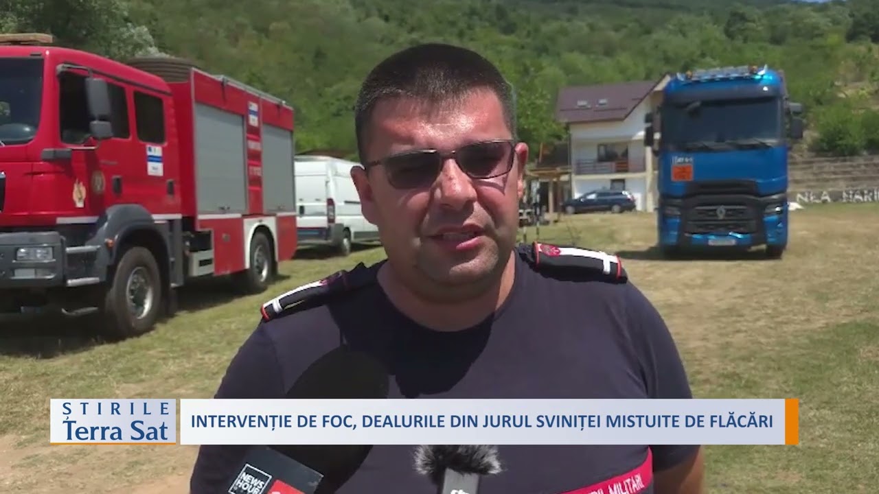 INTERVENȚIE DE FOC, DEALURILE DIN JURUL SVINIȚEI MISTUITE DE FLĂCĂRI
