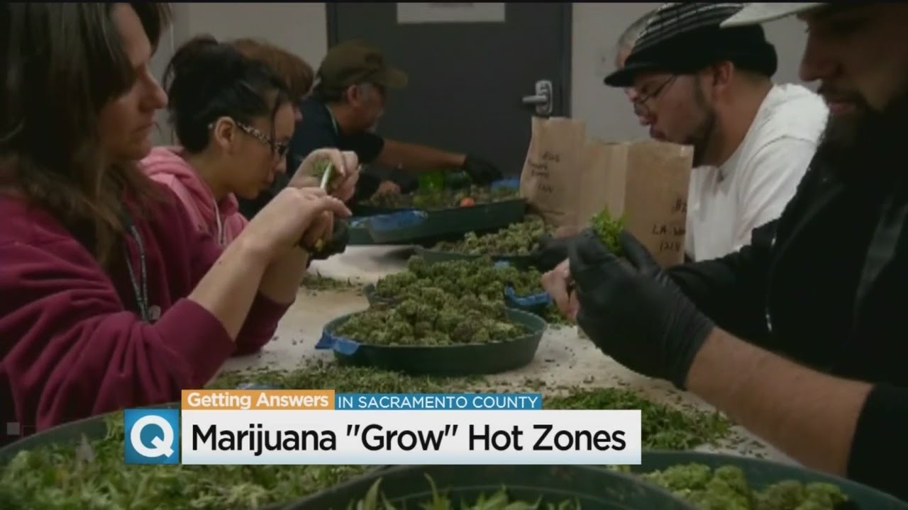 Commercial Marijuana Growers Buying Up Space In Sacramento At Unprecedented Rate