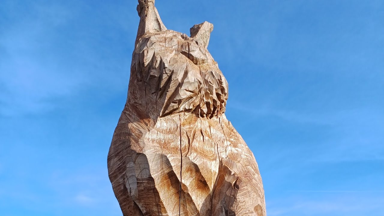 Super Zawoja 🇵🇱