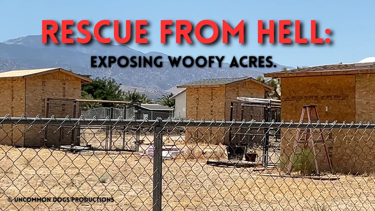 501(c)3 RESCUE FRAUD: Dianne Bedford & 