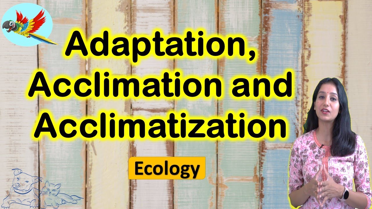 Adaptation, Acclimatization and Acclimation I Ecology I CSIR NET I GATE I NEET I IITJAM I GATB