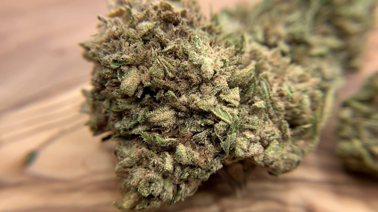 White Whale CBG Flower - BackWoodz CBD