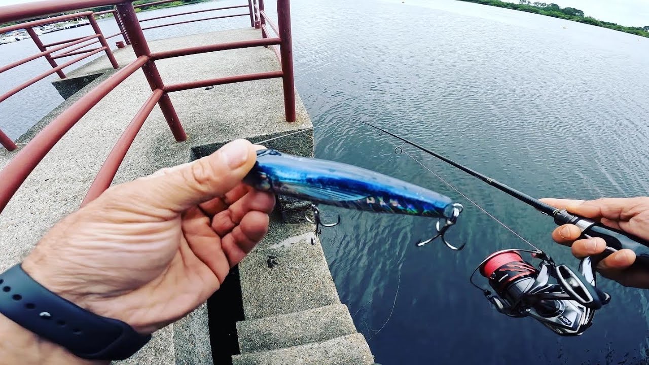 J’essaie ce GROS leurre SURFACE (MER) DÉCATHLON sur les BROCHETS ?? #peche #stickbait #brochet   4K