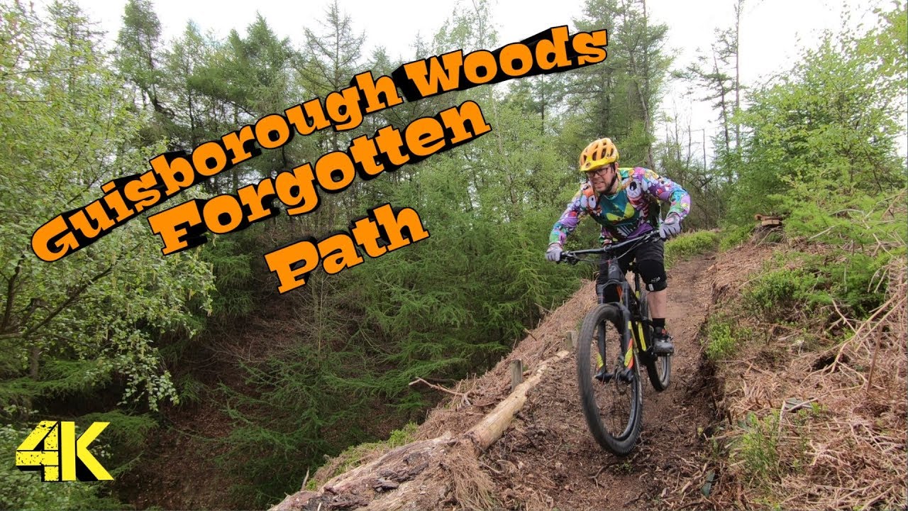 Guisborough Wood's (Forgotten Path)