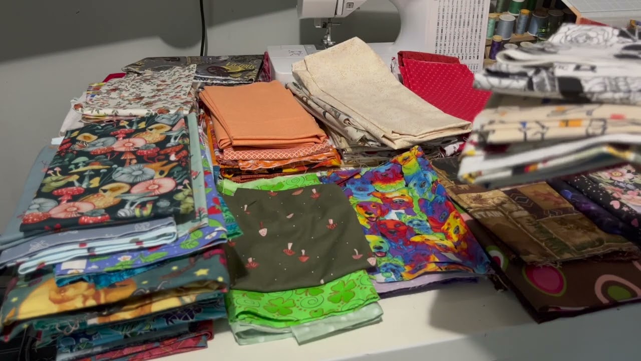 Let's Organize my Quilting Fabric Stash