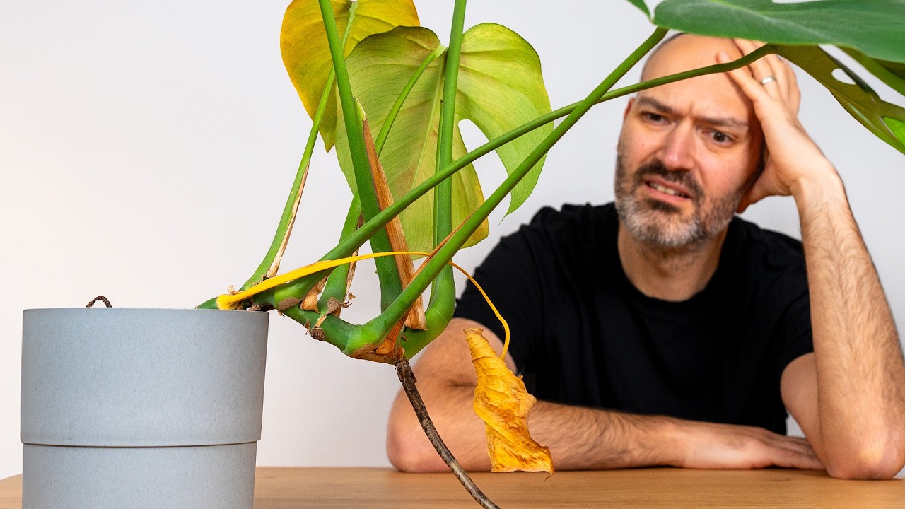 10 Plants I'm Failing Right Now