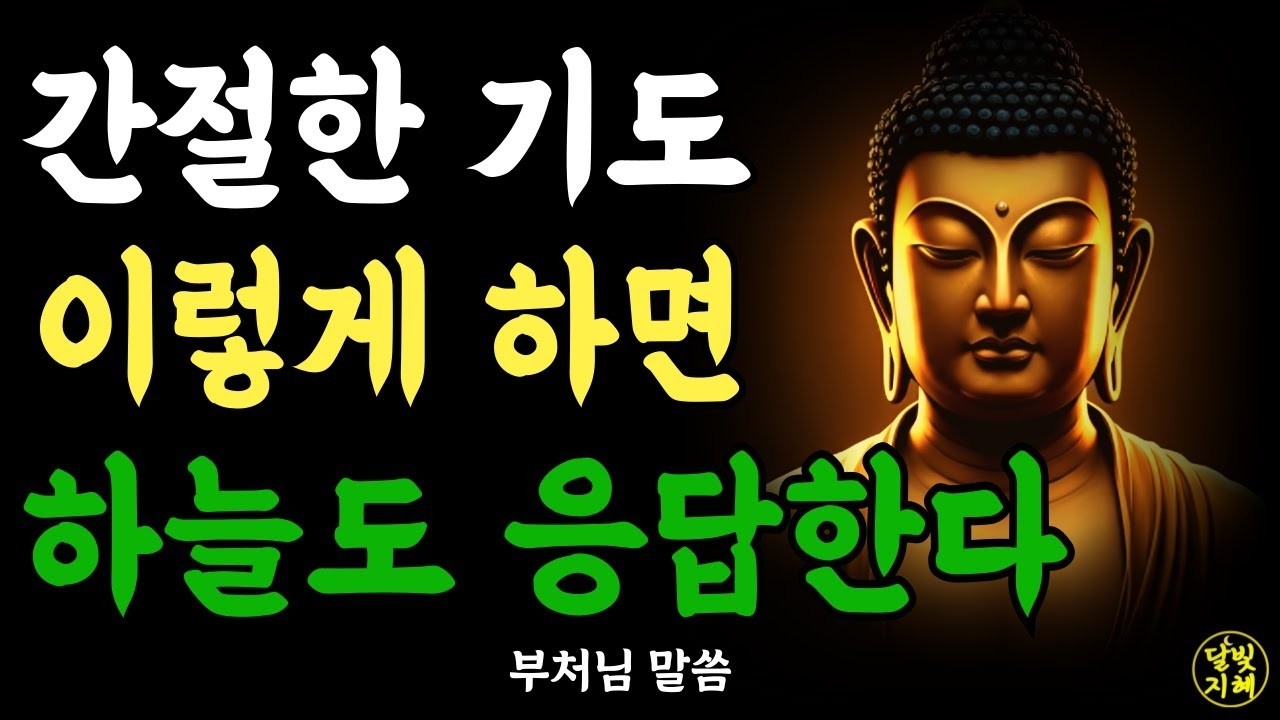 간절한 기도 이렇게 하면 하늘도 더크게 응답한다ㅣ부처님 말씀ㅣ불교 명언ㅣ석가모니 가르침ㅣ반야심경