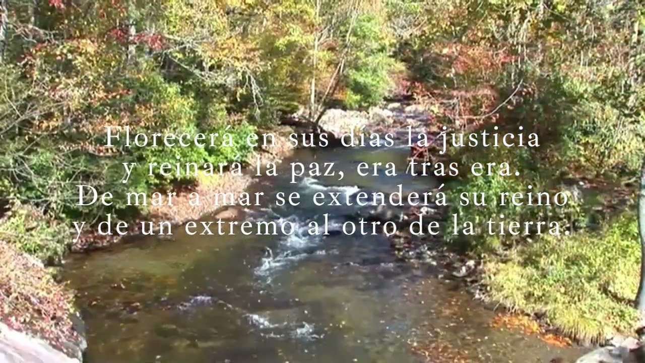 Salmo responsorial 71.- Ven, Señor, rey de justicia y de paz.- Domingo II adviento.- Ciclo A