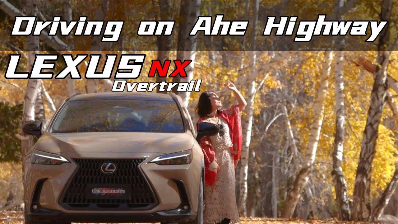 Lexus NX, hard on the road!@lexus