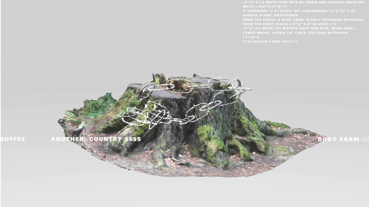 BUFFEE & ANOTHER; COUNTRY $$$$- BODY FARM /// (OFFICIAL VISUALIZER)