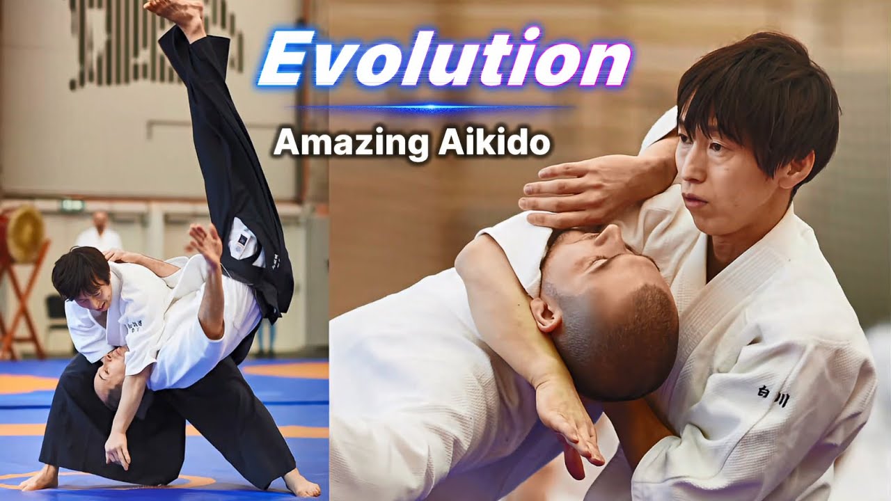 [Evolution] Amazing Aikido in Hungary