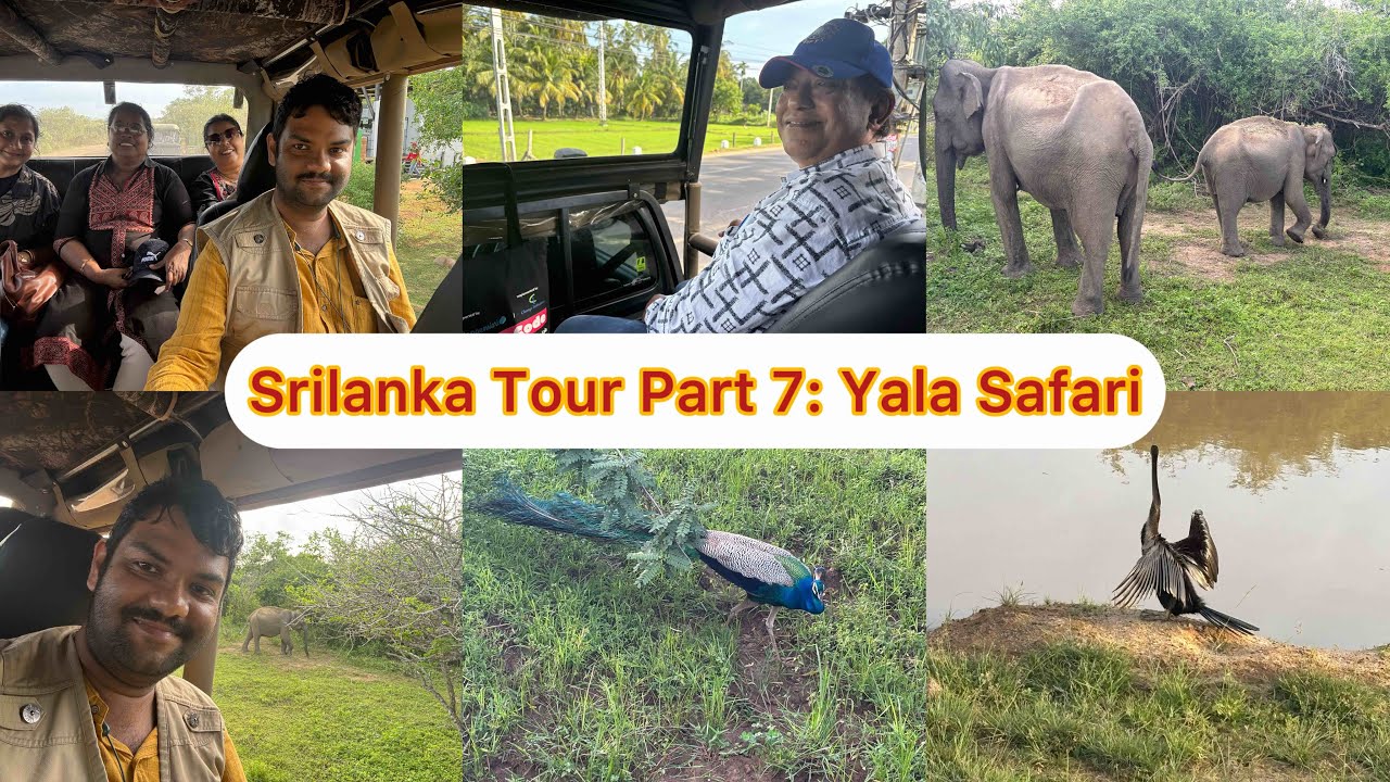Srilanka Tour Part 7: Yala Safari