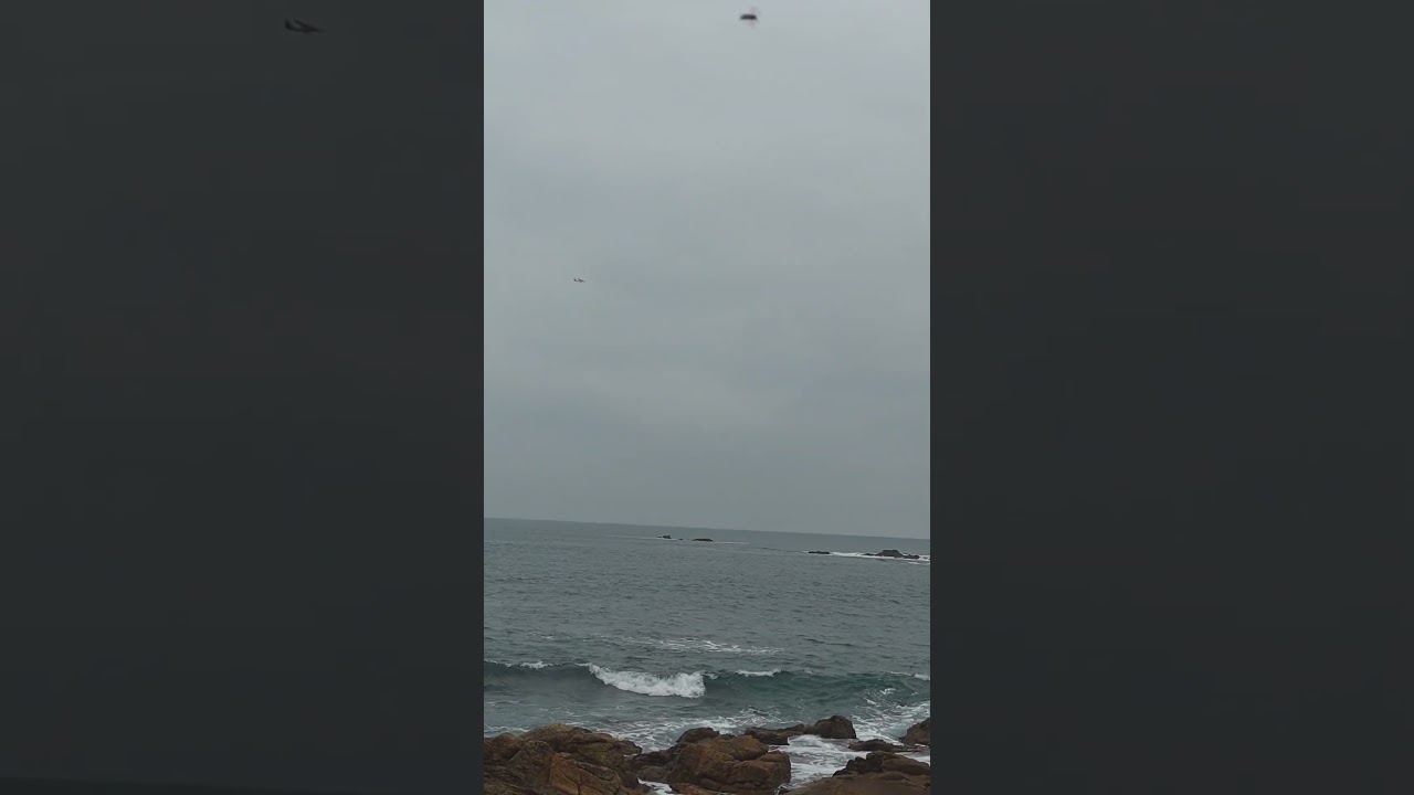 Scenic Coastal Flights #planespotting #scenicflight #coast