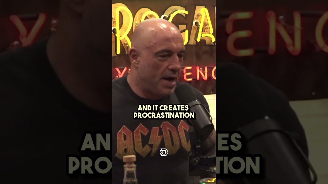 Professionals show up and get the work done. | Joe Rogan