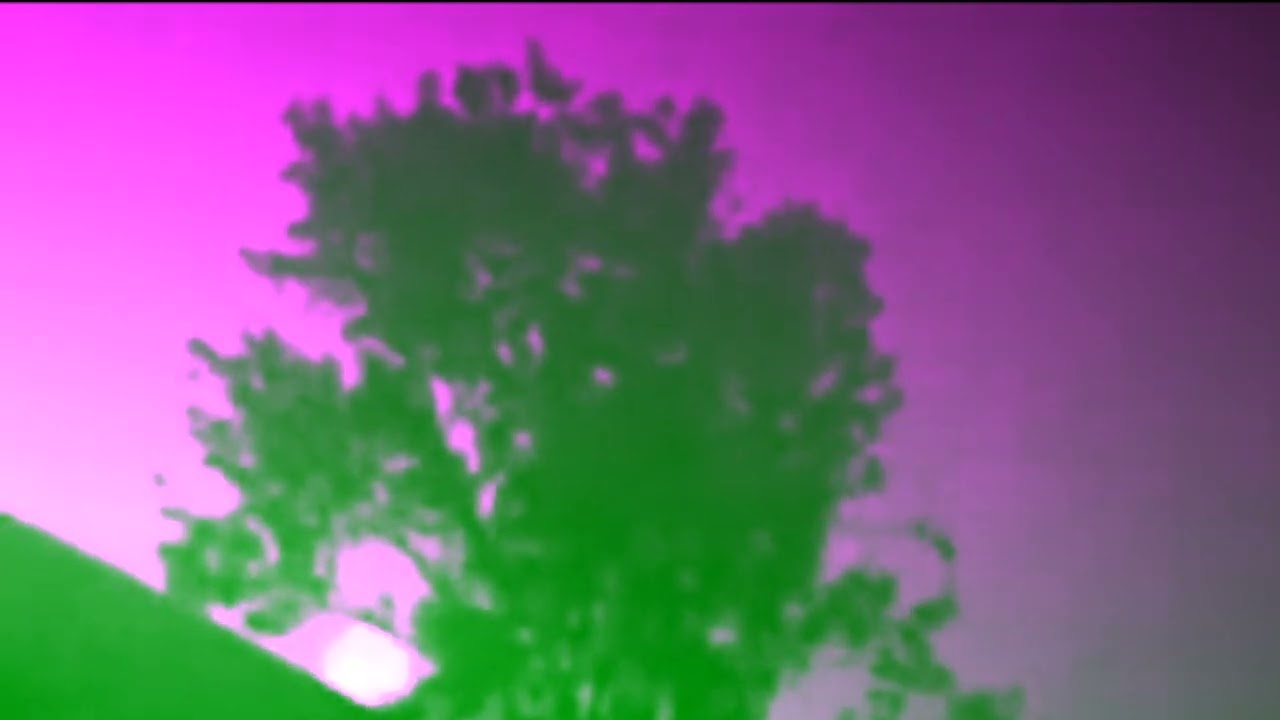 Valia Calda - But In The End We'll Be Together
