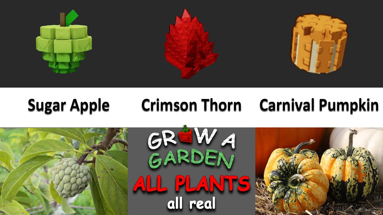 Grow A Garden Roblox ALL Plants 🌱 (ALL REAL) VS Real Life | Funny Dylan Play  #growagarden #roblox