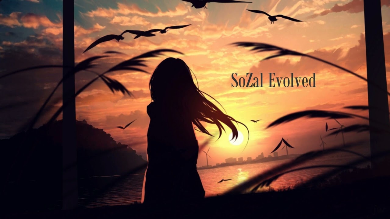 SoZal - Evolved //2022
