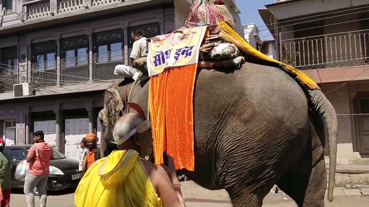 Jain Samaj panch Kalyan pratishthan samaroh mein Dhol party