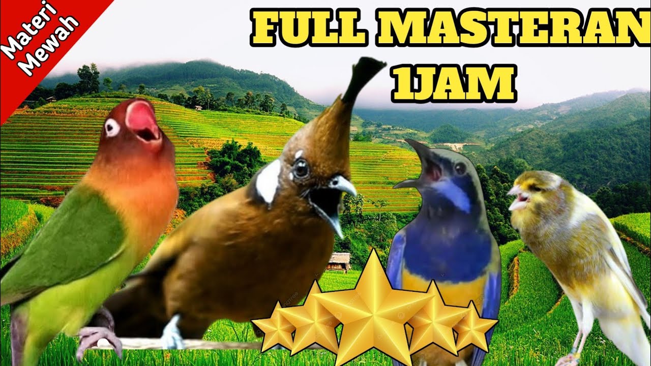 SUPER KERAS DAN TEGAS MASTERAN TENGKEK BUTO SAMBUNG KAPAS TEMBAK BIKIN JURI KETAR KETIR