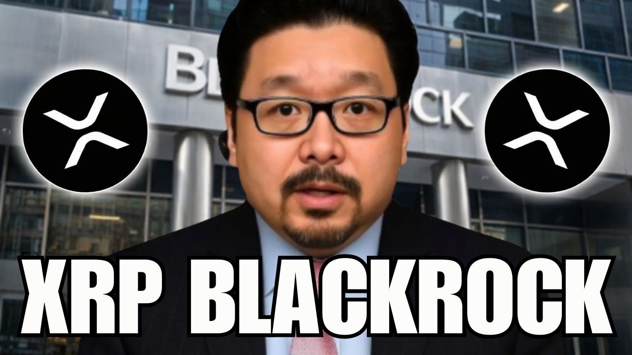 XRP BLACKROCK ТОЛЬКО ЧТО СКАЗАЛ ЭТО! (ОБНОВЛЕНИЕ Ripple / XRP) 🚨