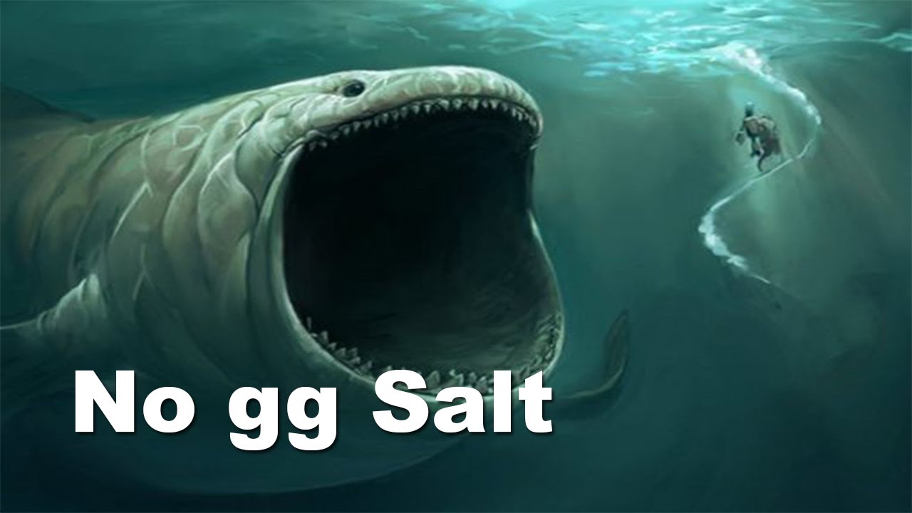 No gg Saltiest Game NADota - Na`Vi.US vs Leviathan