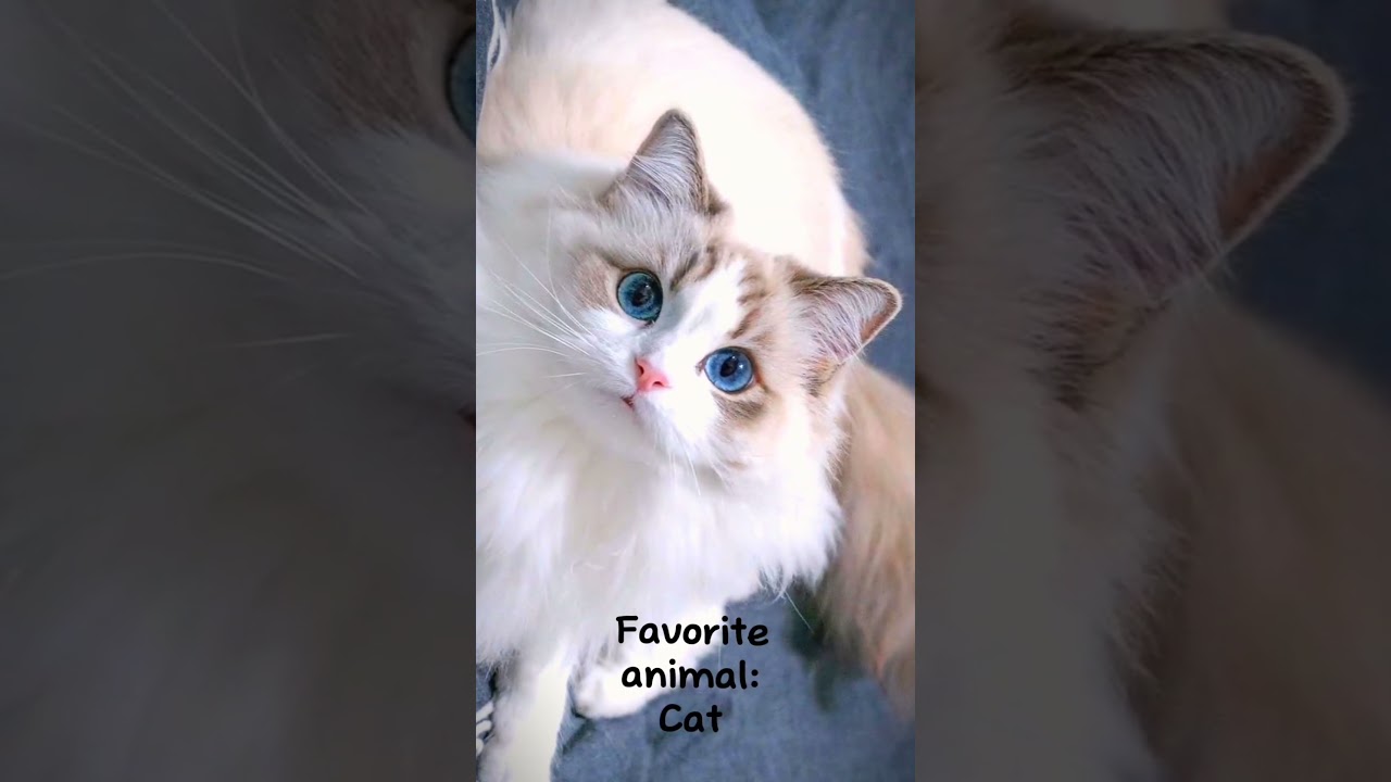 How similar are you to me? 