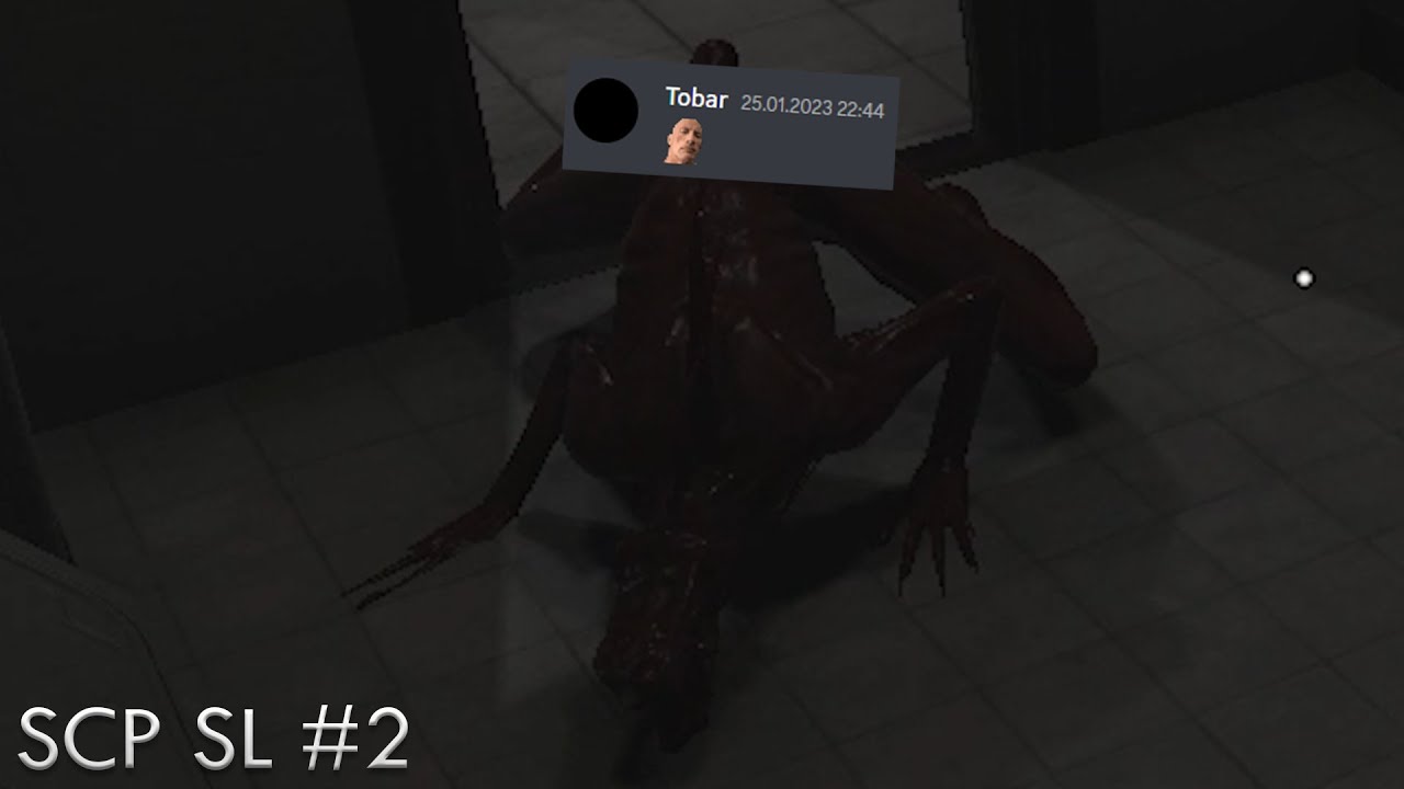 Koledzy strzelają do mnie | SCP: SL [#2] z Ekipą