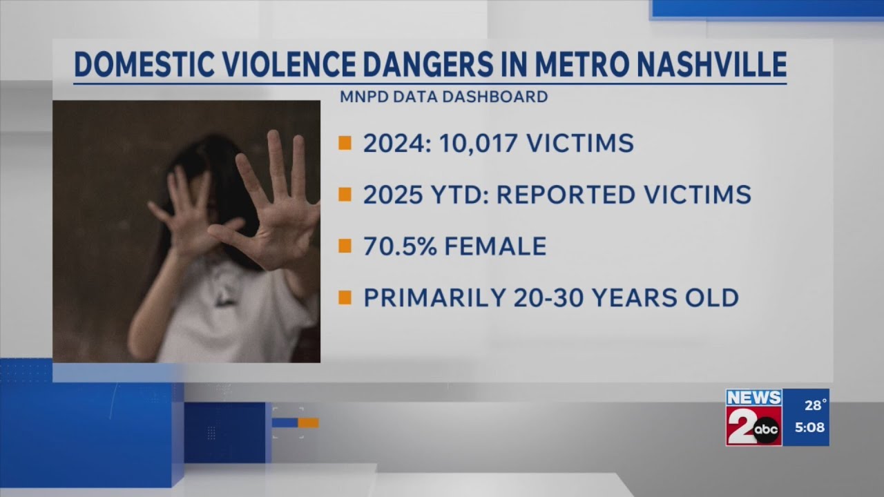 Domestic violence dangers in Metro Nashville