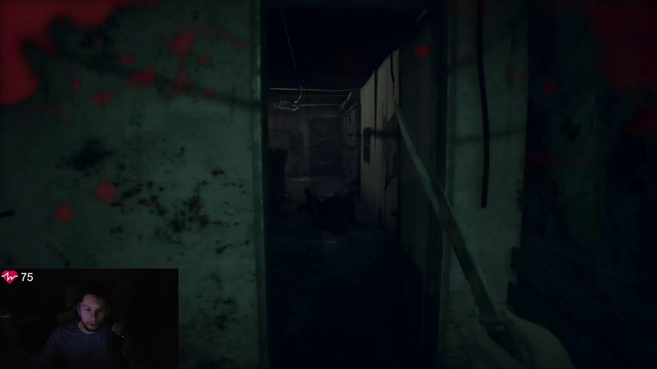 A Resident Evil Stream! Come Wach Me Get Scared With A Hear Rate Monitor!