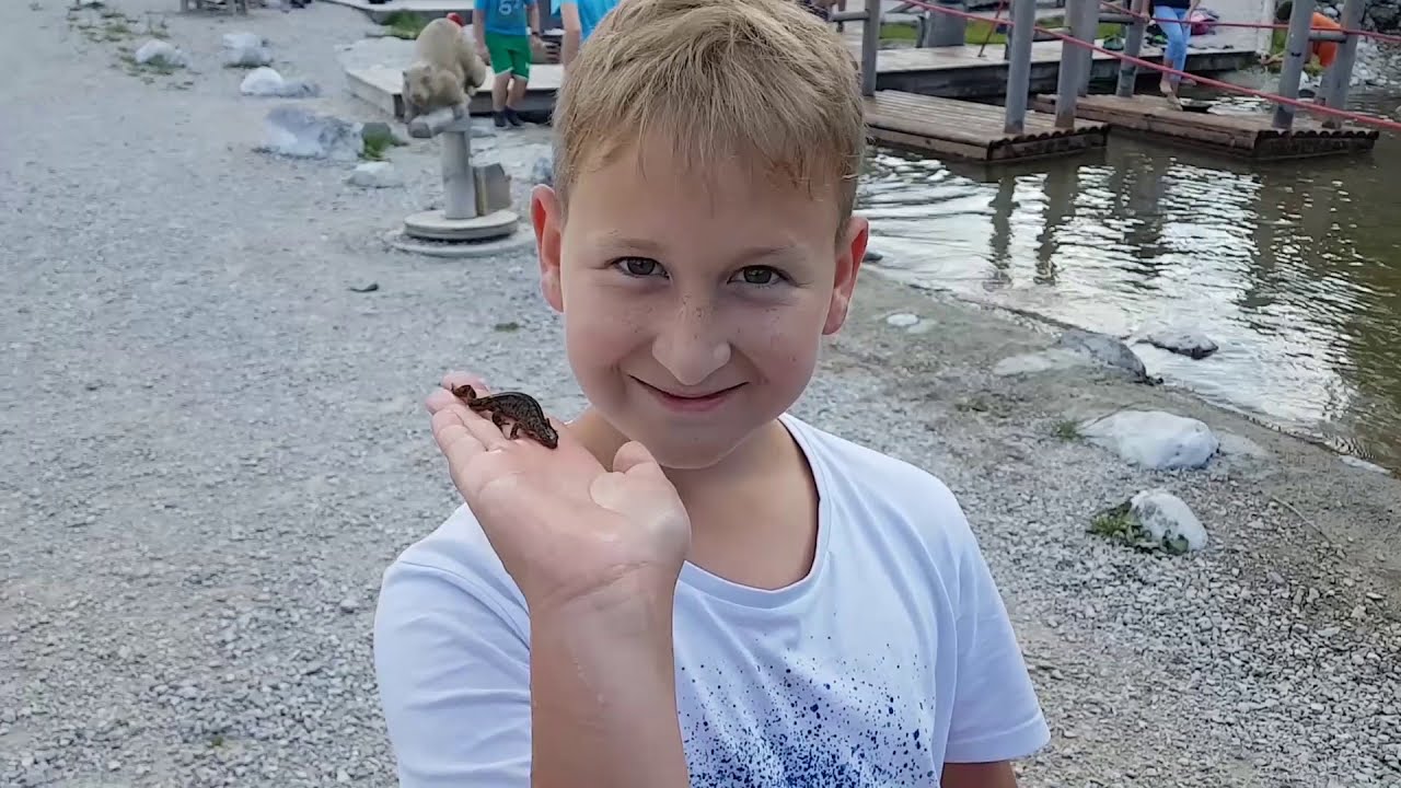 NAWI Mittelschule Sieghartskirchen SCHULFILM