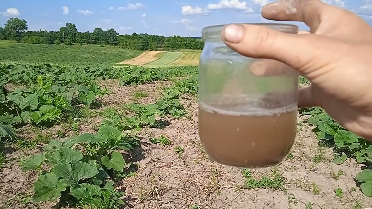 Перевіряєм кислотність грунту двома доступними способами!!!