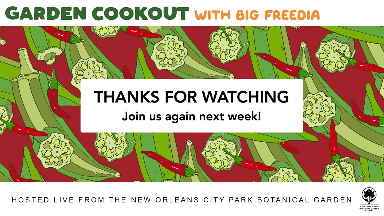 LIVE - Big Freedia's Garden Cookout  (July 30, 2020)