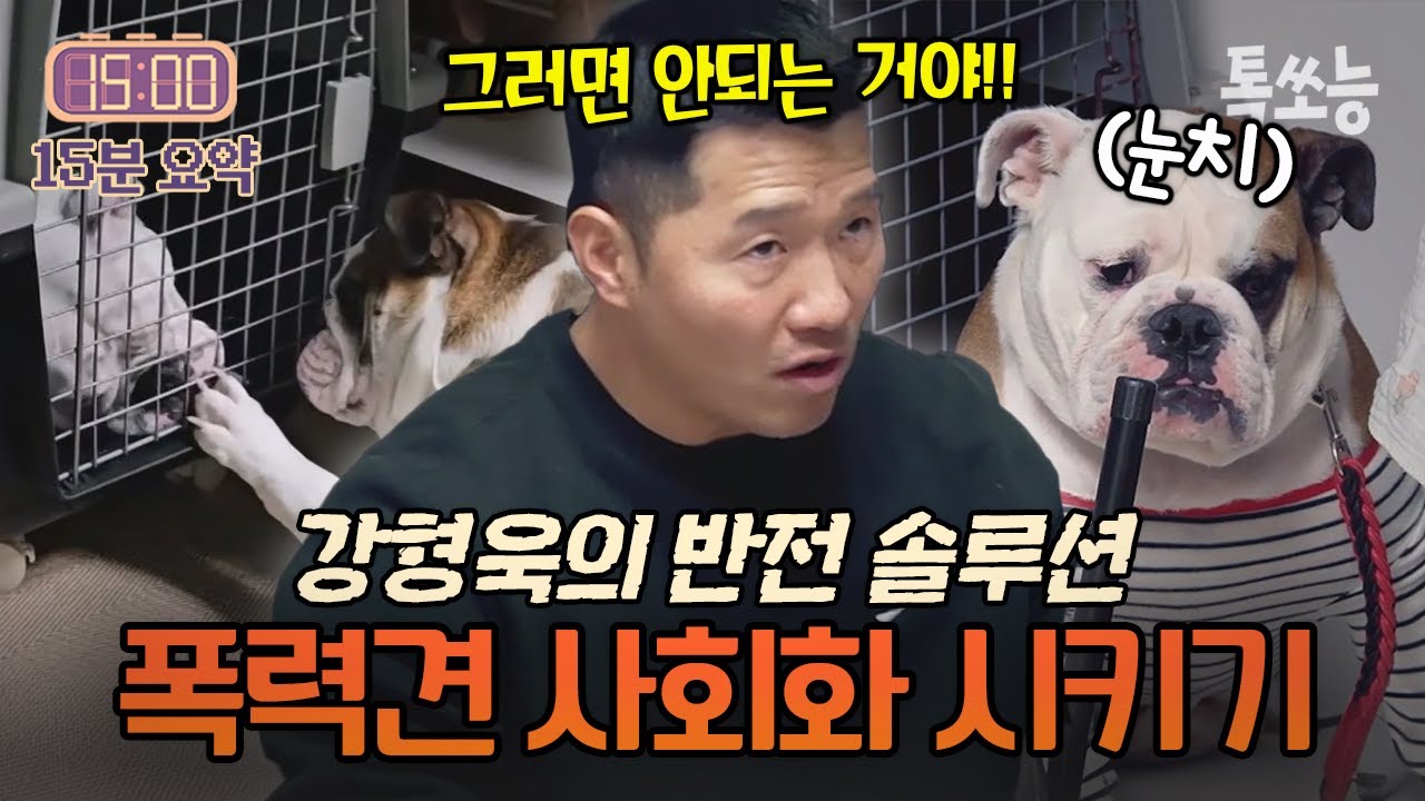 강형욱 vs 폭력 불독💥맞춤 솔루션으로 완벽 제압하는 강형욱⚡| #개와늑대의시간2 4회