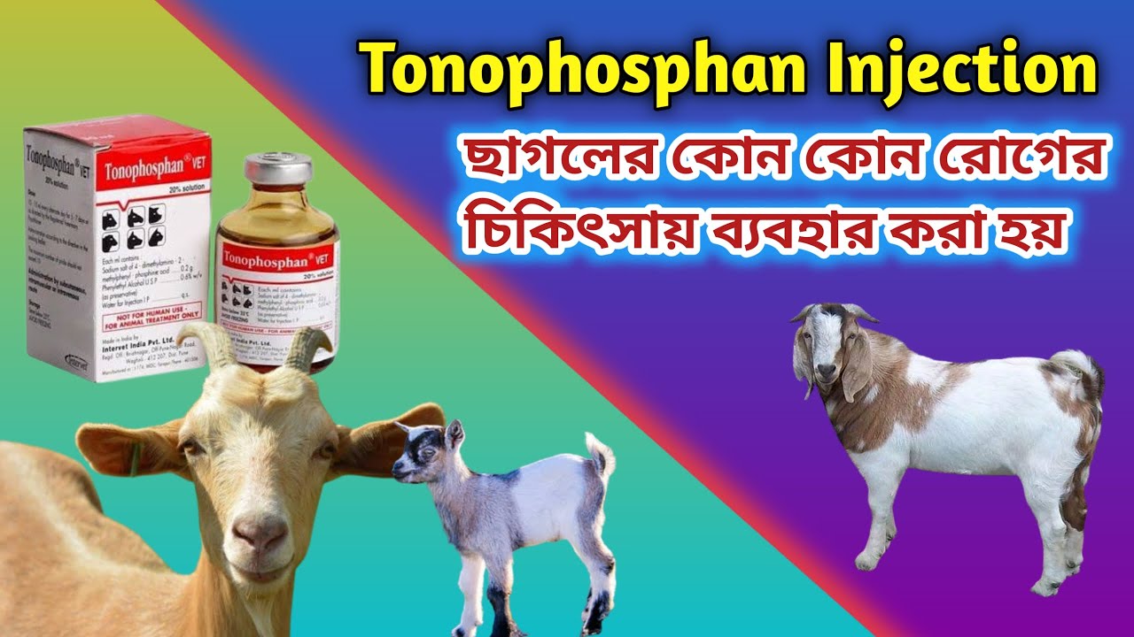 tonophosphan injection ছাগলের কোন কোন রোগের চিকিৎসায় ব্যবহার করা হয়