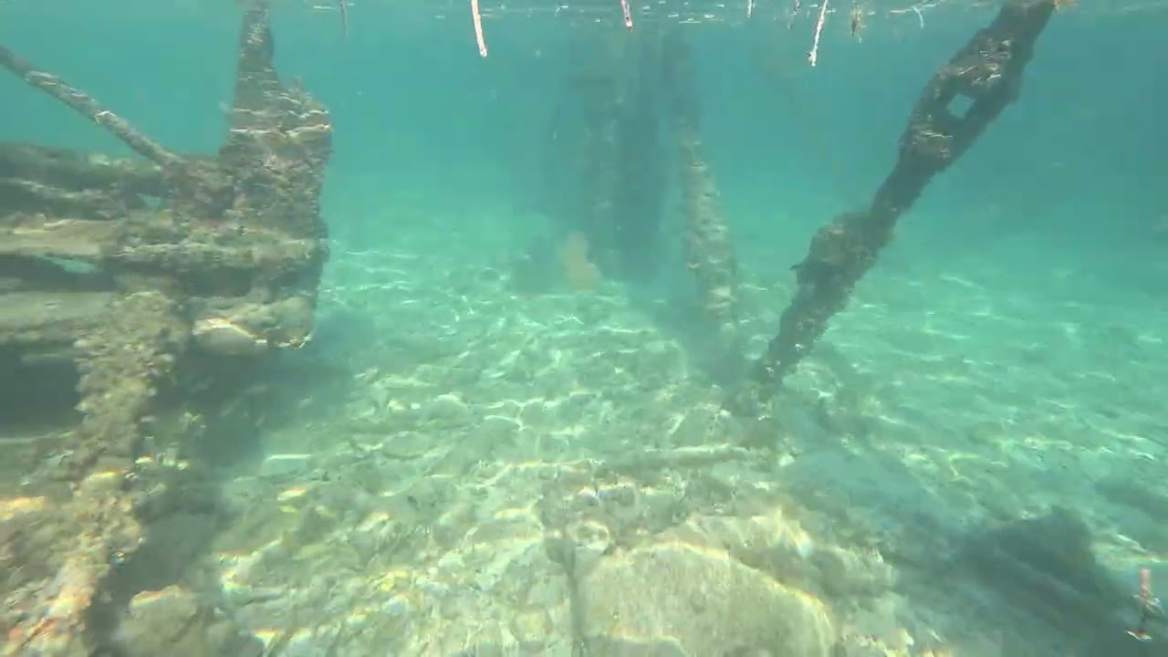 12/29/2025 Snorkel Dry Tortugas ~ South pylons