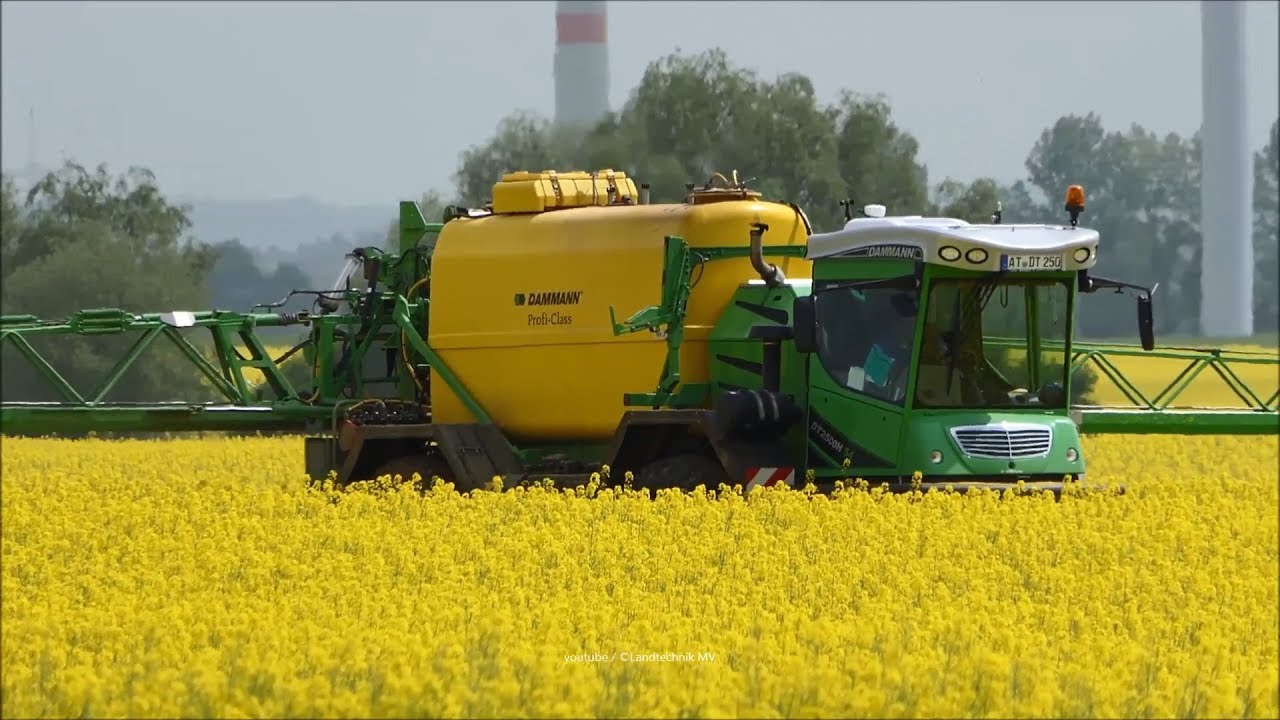Dammann / Pflanzenschutz ; Plantprotection 2018