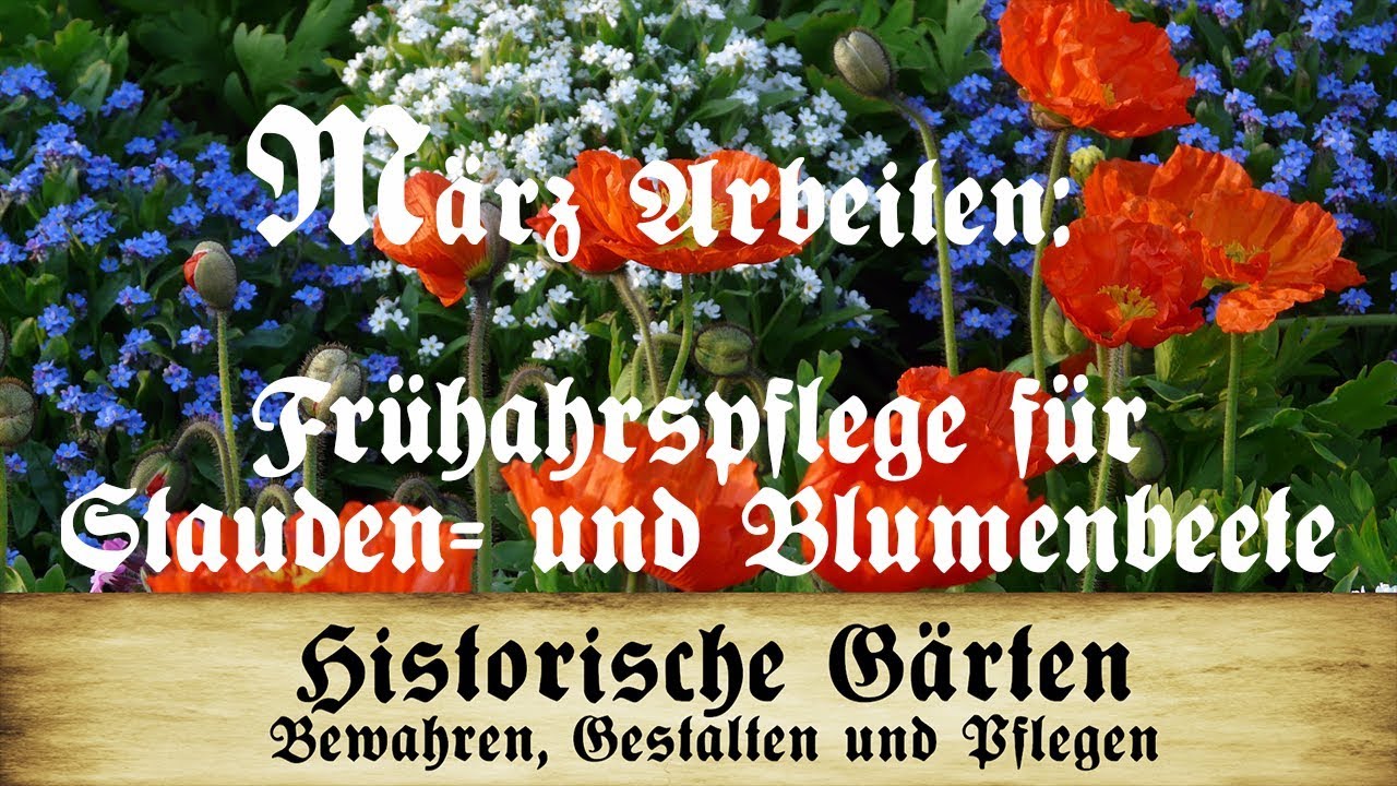 Arbeiten im März: Frühjahrspflege der Staudenbeete und Blumenbeete