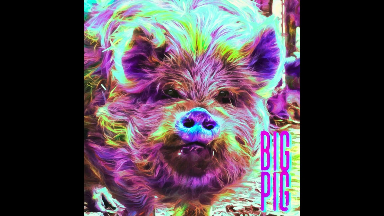 FREE 'BIG PIG' Freestyle Beat - Boom Bap Fire