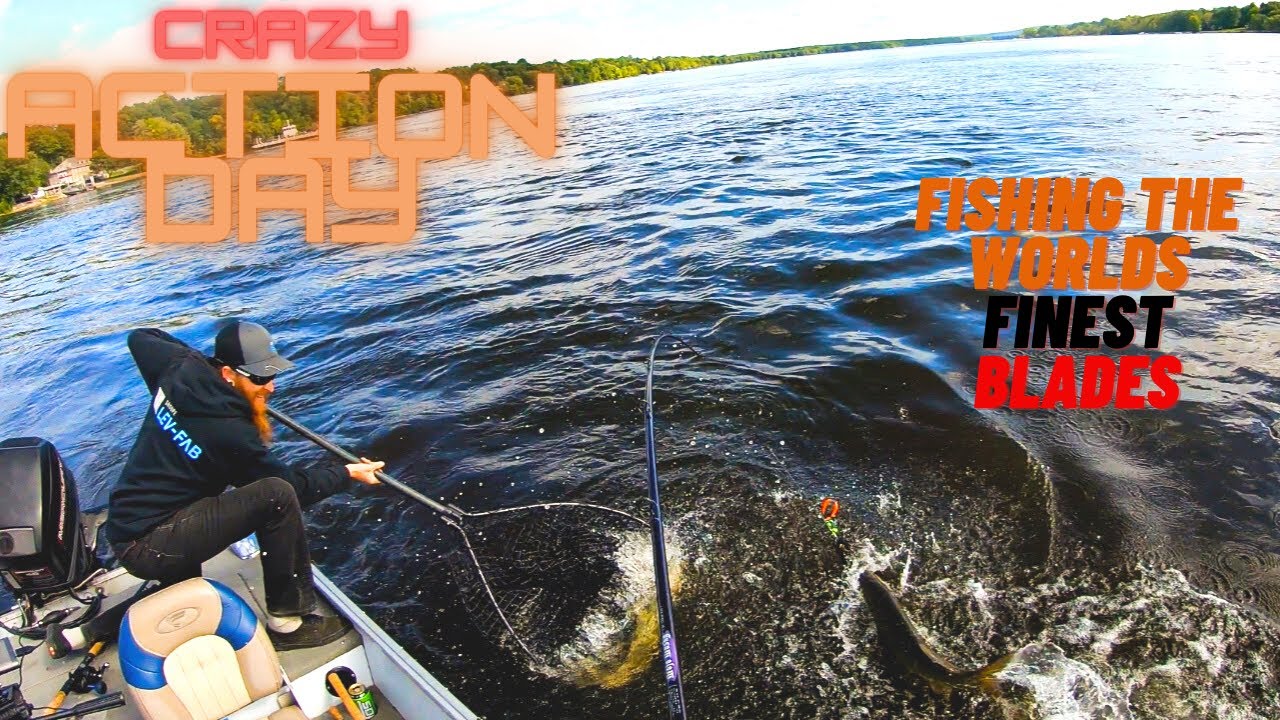 Musky On the Dadsons Blades (Figure 8 Attack)