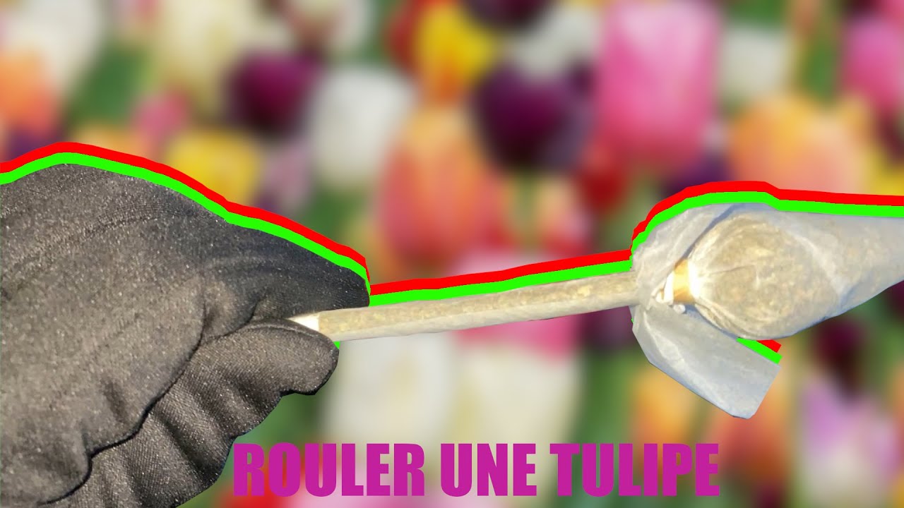 ROULER UNE TULIPE (deux fa&ccedil;on diff&eacute;rente) - Elino