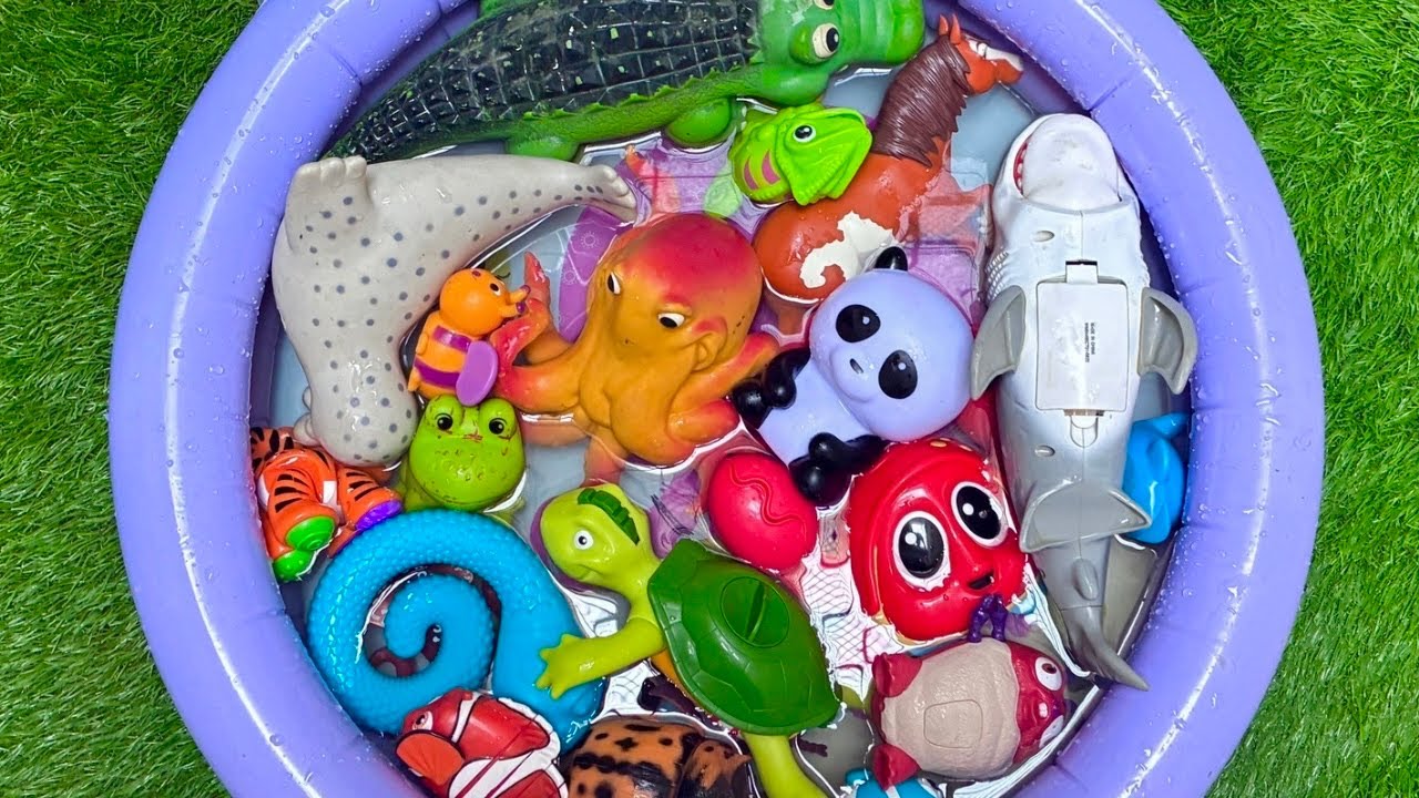 Sea Animal Adventure for Kids 🦀 | Ocean Animal Names, Facts & Learning Fun
