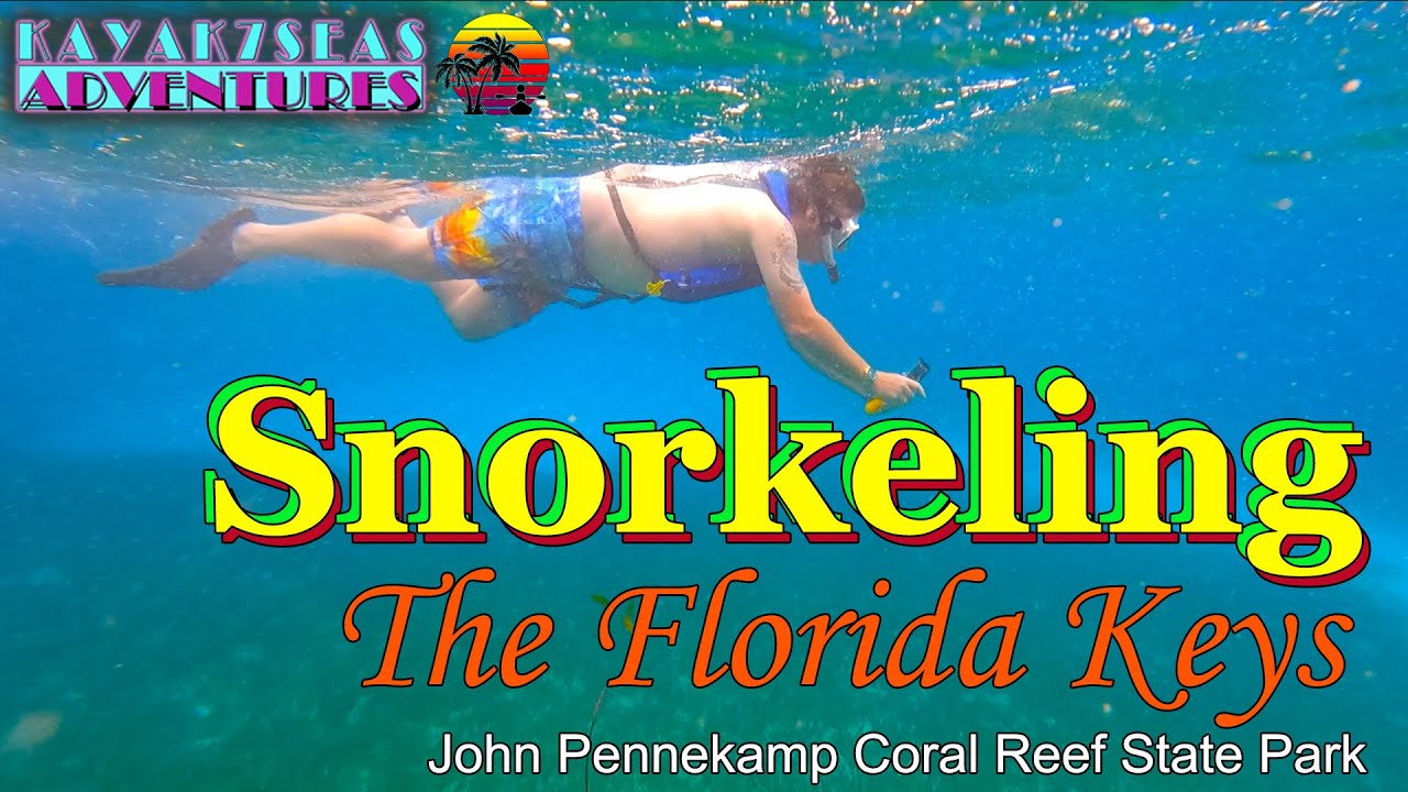 Snorkeling in the Florida Keys - John Pennekamp Coral Reef State Park